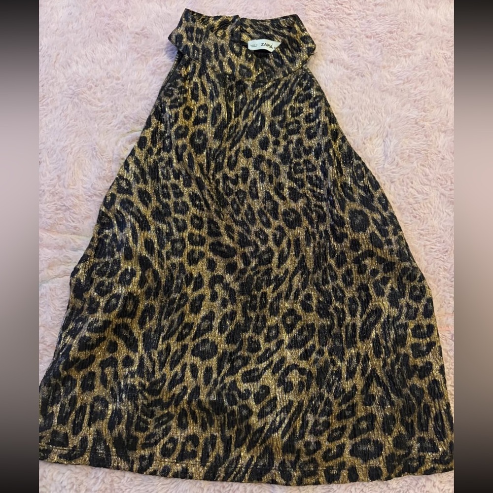 Zara Leopard Print A-Line Skirt